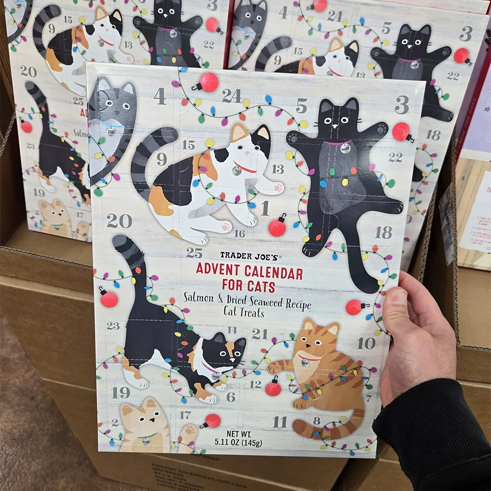 트레이더조 추천 2024 (69) 사진