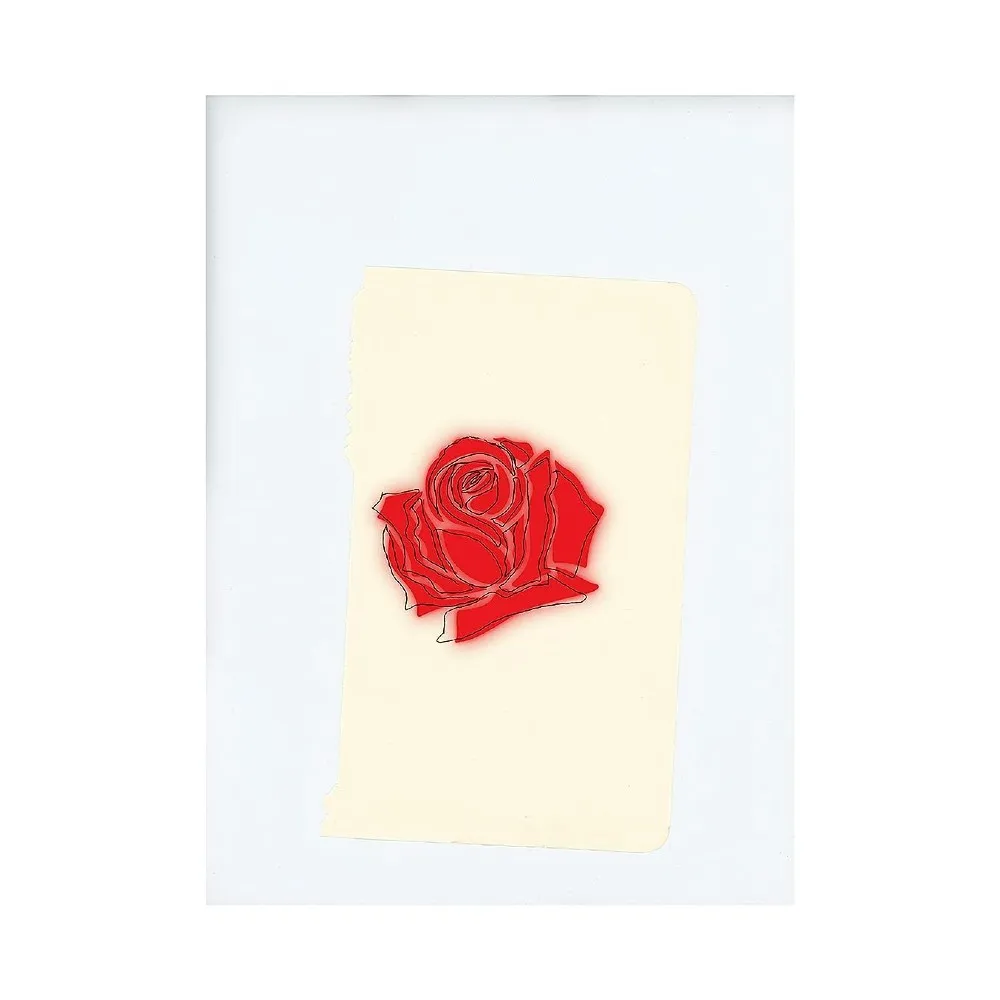 [해외] LANY 레이니 LP 데뷔 앨범 LANY LP판 바이닐