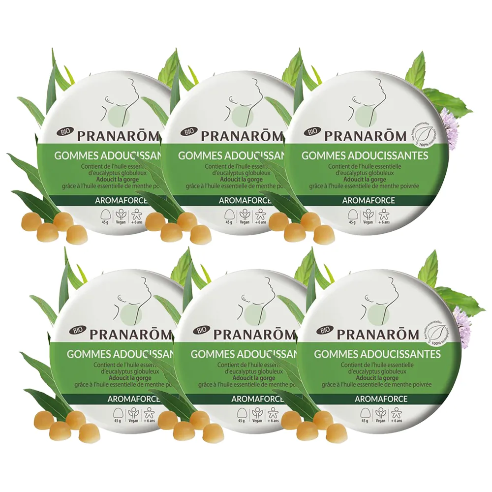 [해외] PRANAROM 프라나롬 오가닉 아로마포스 유칼립투스 소프트 민트 구미 45g 6팩