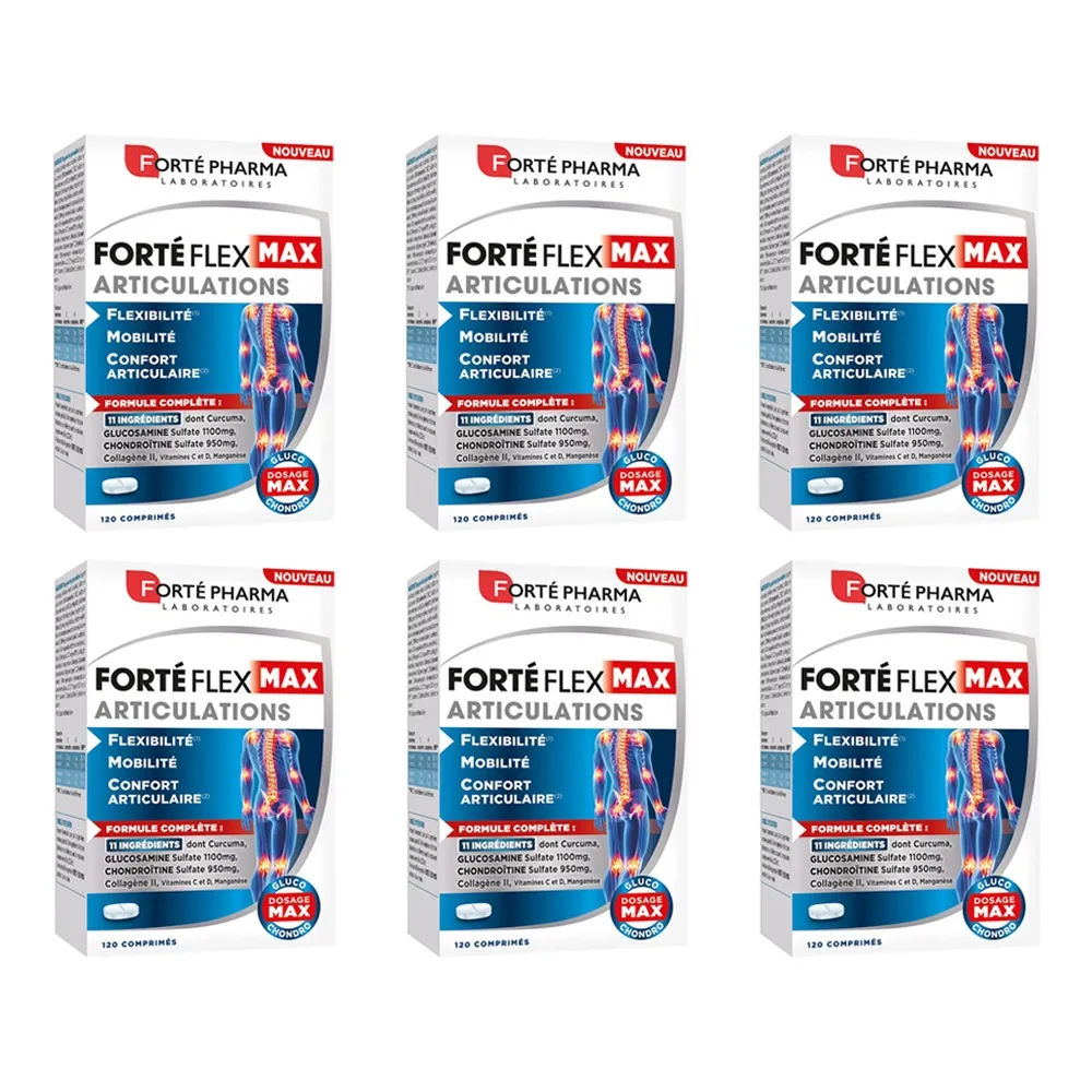 포르테 파마 포르테 플렉스 맥스 120정 6개 Forte Pharma Forte Flex Max Articulations | 크로켓